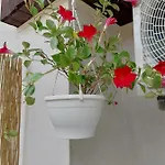 Old Town 1 Apartament