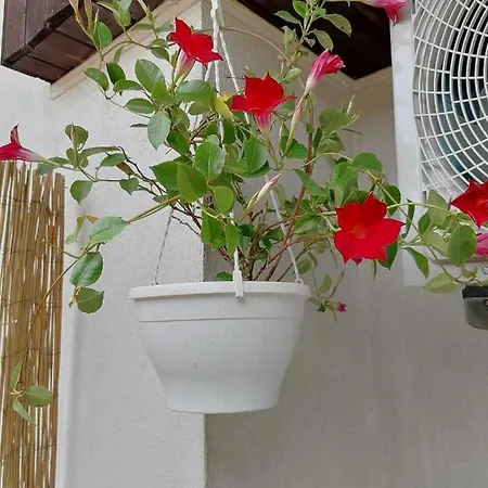 Old Town 1 Διαμέρισμα